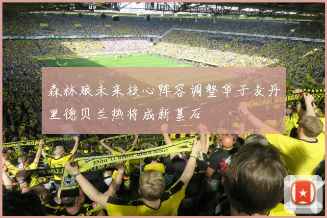 森林狼未来核心阵容调整华子麦丹里德贝兰热将成新基石
